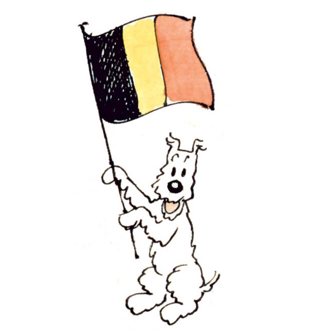 Bonne fête nationale belge ! 